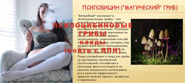 мет Арсеньев