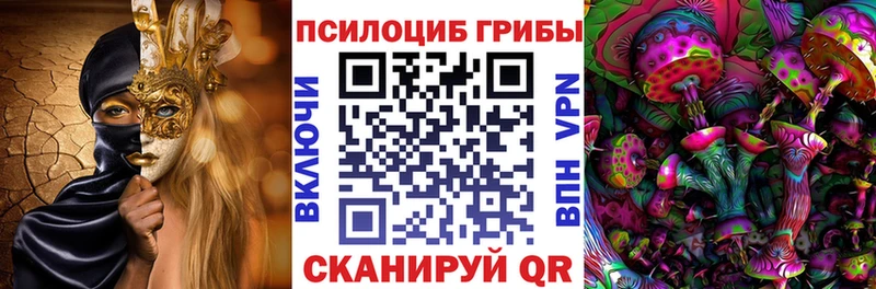 omg как зайти  Бахчисарай  Галлюциногенные грибы Psilocybe 