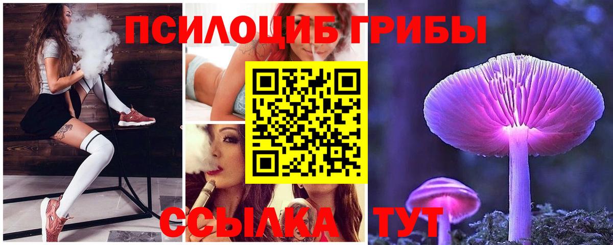Галлюциногенные грибы прущие грибы Бахчисарай